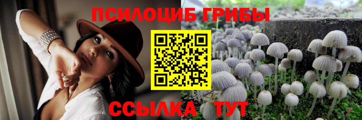 Галлюциногенные грибы GOLDEN TEACHER  Вход с VPN  Кимры 